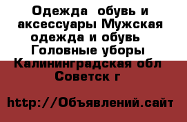 Одежда, обувь и аксессуары Мужская одежда и обувь - Головные уборы. Калининградская обл.,Советск г.